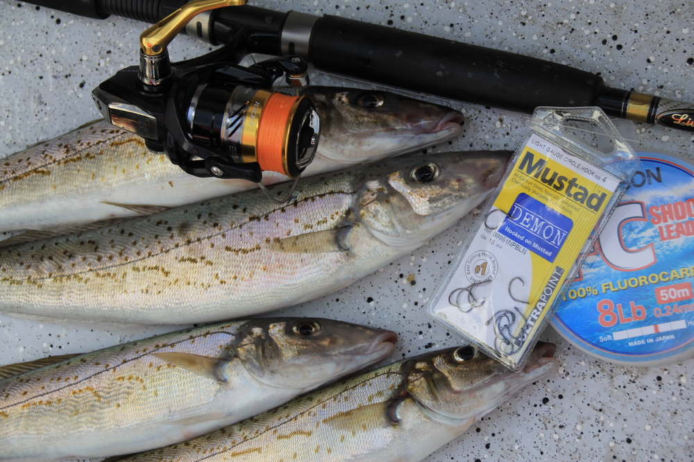 Wilson Fishing – TIPS FOR CATCHING VICTORIAN WHITING