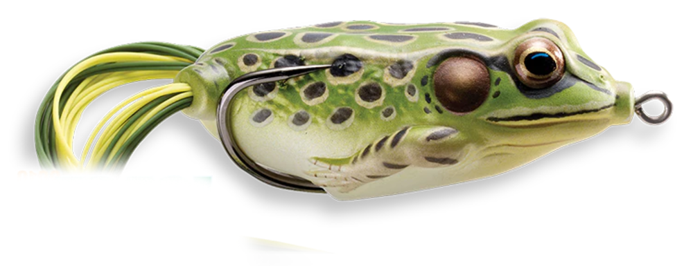 Wilson Fishing – Hollow Body Frog