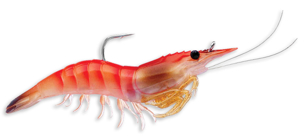 Wilson Fishing – Rigged Shrimp
