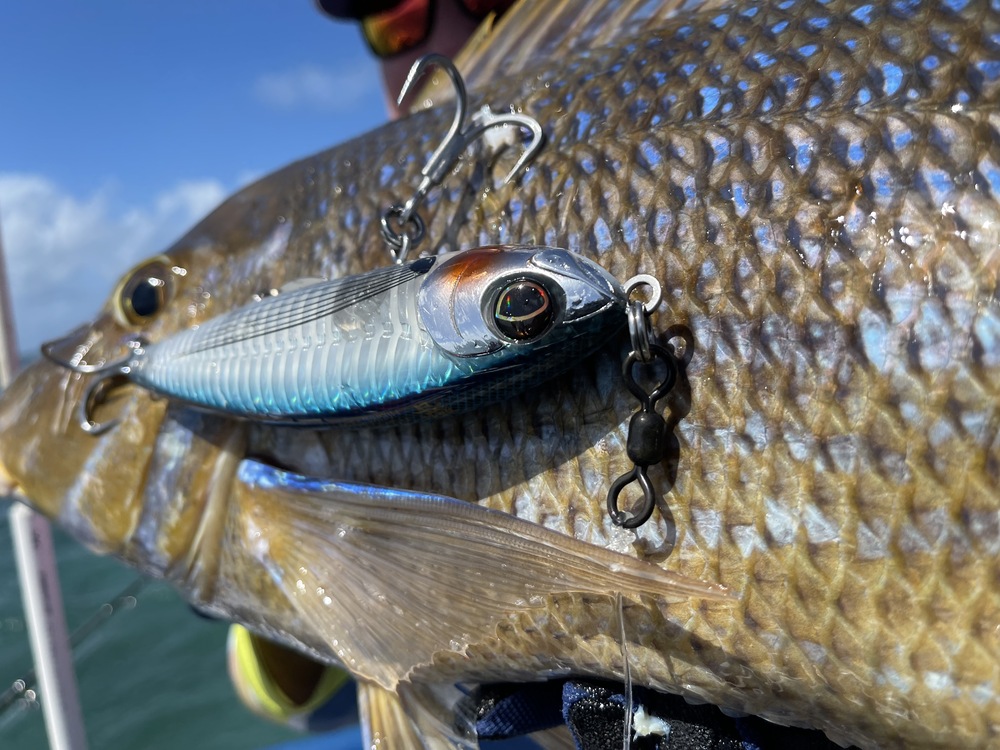Wilson Fishing – Mustad